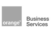 Orange Business Services